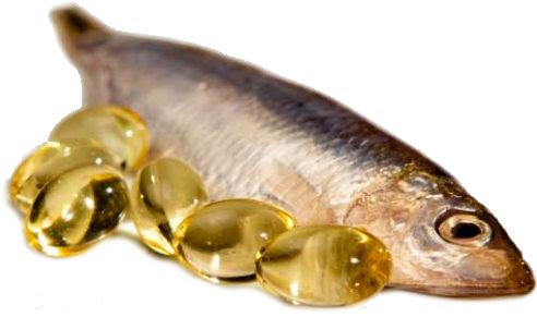 Fish Oil photo